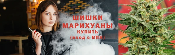 стафф Богданович