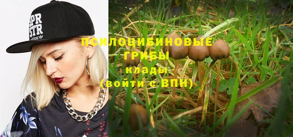 стафф Богданович