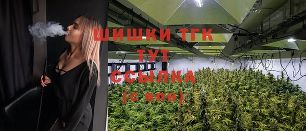 стафф Богданович