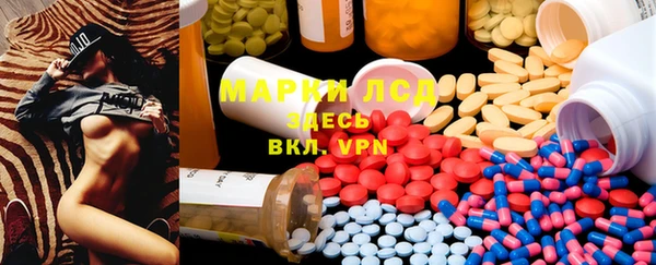стафф Богданович