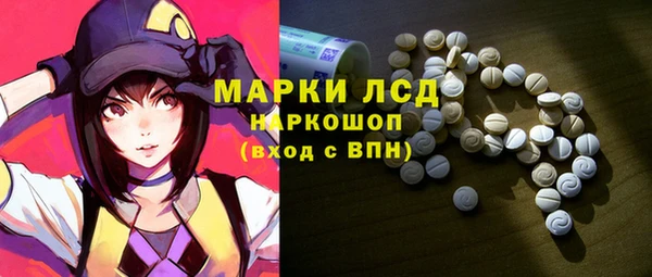 стафф Богданович